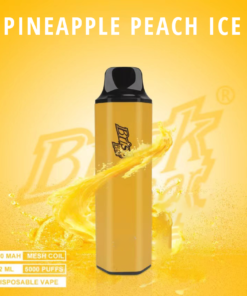 BRISK BAR PINEAPPLE PEACH ICE – 5000 PUFFS