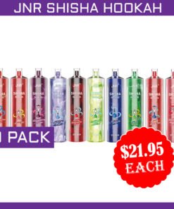 JNR SHISHA HOOKAH – 12000 PUFFS – 10 PACK