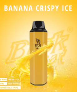 BRISK BAR BANANA CRISPY ICE – 5000 PUFFS