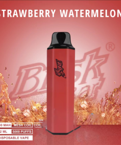 BRISK BAR STRAWBERRY WATERMELON – 5000 PUFFS