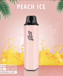 BRISK BAR PEACH ICE – 5000 PUFFS
