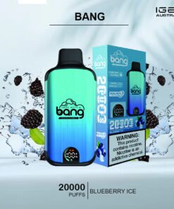 BANG – BLUEBERRY ICE – 20000 PUFFS