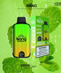 BANG – MINT – 20000 PUFFS