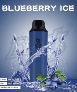 BRISK BAR BLUEBERRY ICE – 5000 PUFFS