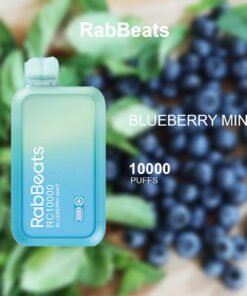 RABBEATS BAR BLUEBERRY MINT – 10000 PUFFS