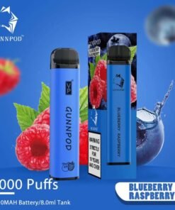 GUNNPOD BLUEBERRY RASPBERRY – 2000 PUFFS
