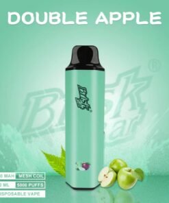 BRISK BAR DOUBLE APPLE – 5000 PUFFS