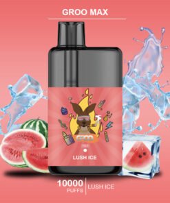 GROO MAX – LUSH ICE – 10000 PUFFS