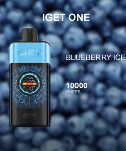IGET ONE BLUEBERRY ICE – 12000 PUFFS