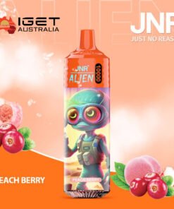 JNR ALIEN PEACH BERRY – 10000 PUFFS