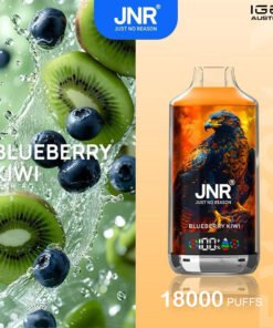 JNR FALCON -X BLUEBERRY KIWI – 18000 PUFFS