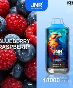 JNR FALCON -X BLUEBERRY RASPBERRY – 18000 PUFFS