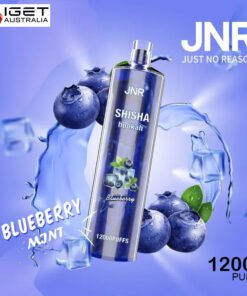 JNR SHISHA HOOKAH – BLUEBERRY POMEGRANATE – 12000 PUFFS