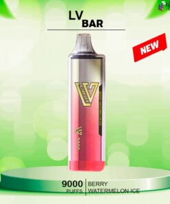 LV BAR – BERRY WATERMELON ICE – 9000 PUFFS