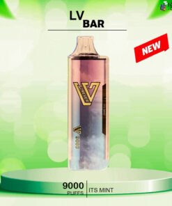LV BAR – ITS MINT – 9000 PUFFS