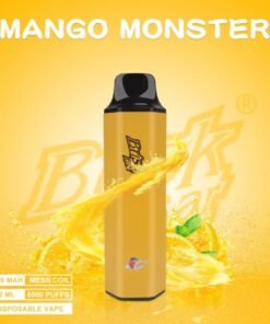 BRISK BAR MANGO MONSTER – 5000 PUFFS