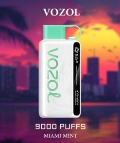 VOZOL MIAMI MINT – 9000 PUFFS