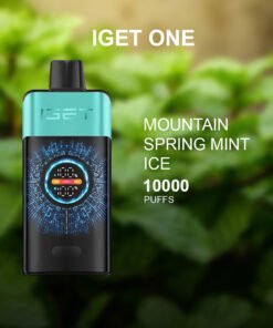 IGET ONE MOUNTAIN SPRING MINT ICE – 12000 PUFFS