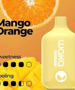 WAKA SMASH MANGO ORANGE – 6000 PUFFS