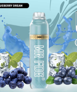MR FOG BLUEBERRY DREAM – 3600 PUFFS
