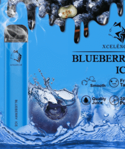 GUNNPOD BLUEBERRY ICE – 2000 PUFFS