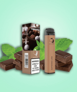 GUNNPOD MINT CHOCOLATE – 2000 PUFFS