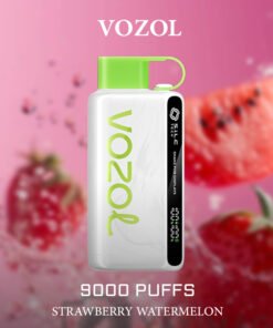 VOZOL STRAWBERRY WATERMELON – 9000 PUFFS