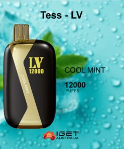 TESS-LV COOL MINT – 12000 PUFFS