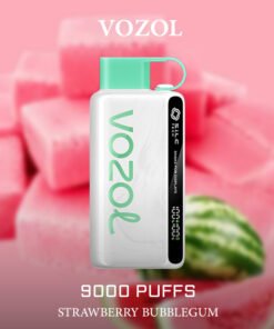VOZOL WATERMELON BUBBLEGUM – 9000 PUFFS
