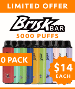 BRISK BAR – 5000 PUFFS – 10 PACK