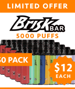 BRISK BAR – 5000 PUFFS – 50 PACK
