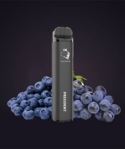 GUNNPOD PRESIDENT – 2000 PUFFS