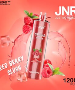 JNR SHISHA HOOKAH – RED BERRY BLUSH – 12000 PUFFS