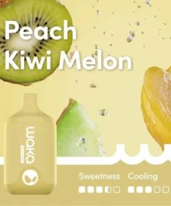 WAKA SMASH PEACH KIWI MELON – 6000 PUFFS